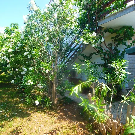 Appartement Marija 1669